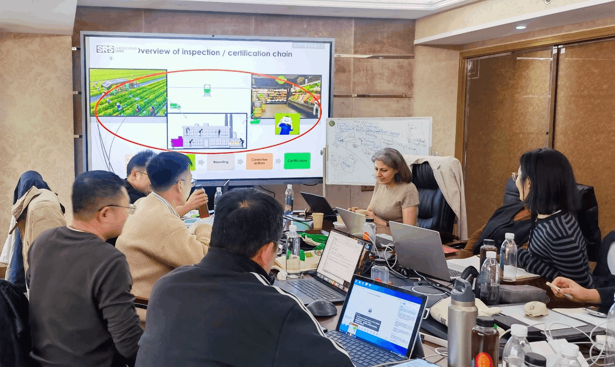 Formation interne au service de la montée en compétences | Fin réussie de la formation spécialisée 2025 de Shiying Shanghai pour les évaluateurs de certification de produits biologiques-93-3